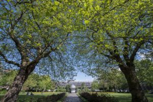 Abercromby Square