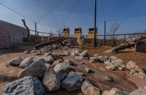 Keepers at Chester Zoo sweep the grounds of one of the animal zones