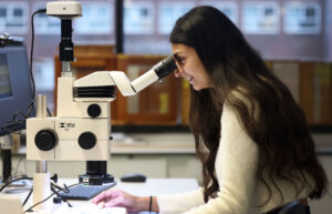 Student doing lab work