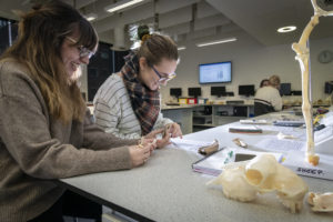 Female students looking at bone samples in the Archaeology laboratory