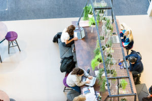 Students sit at a large table in the bright School of Law and Social Justice foyer. The tables are wooden with with hanging plants.