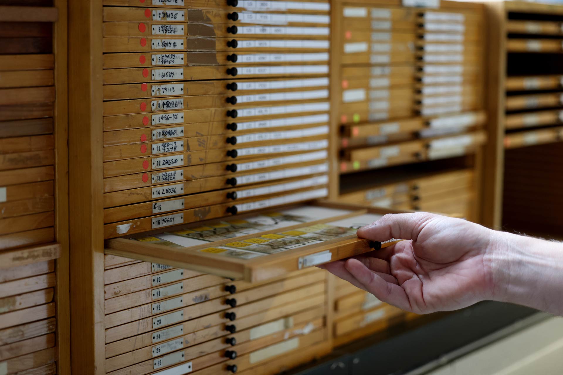 A heritage student browsing archives
